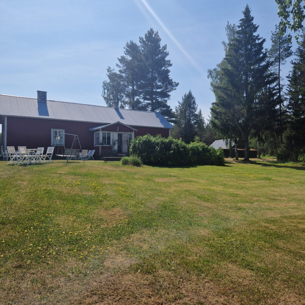 Piha, jossa kasvaa nurmikkoa ja taustalla on mökki